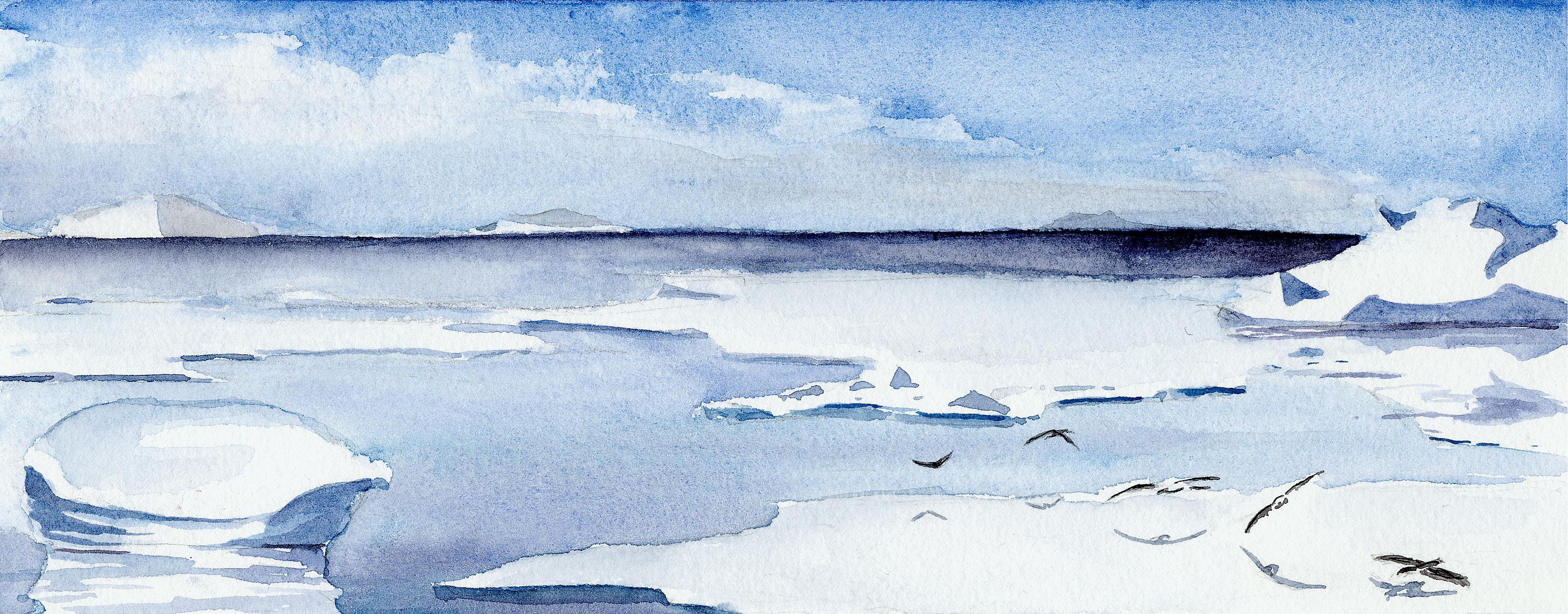Birds on Ice