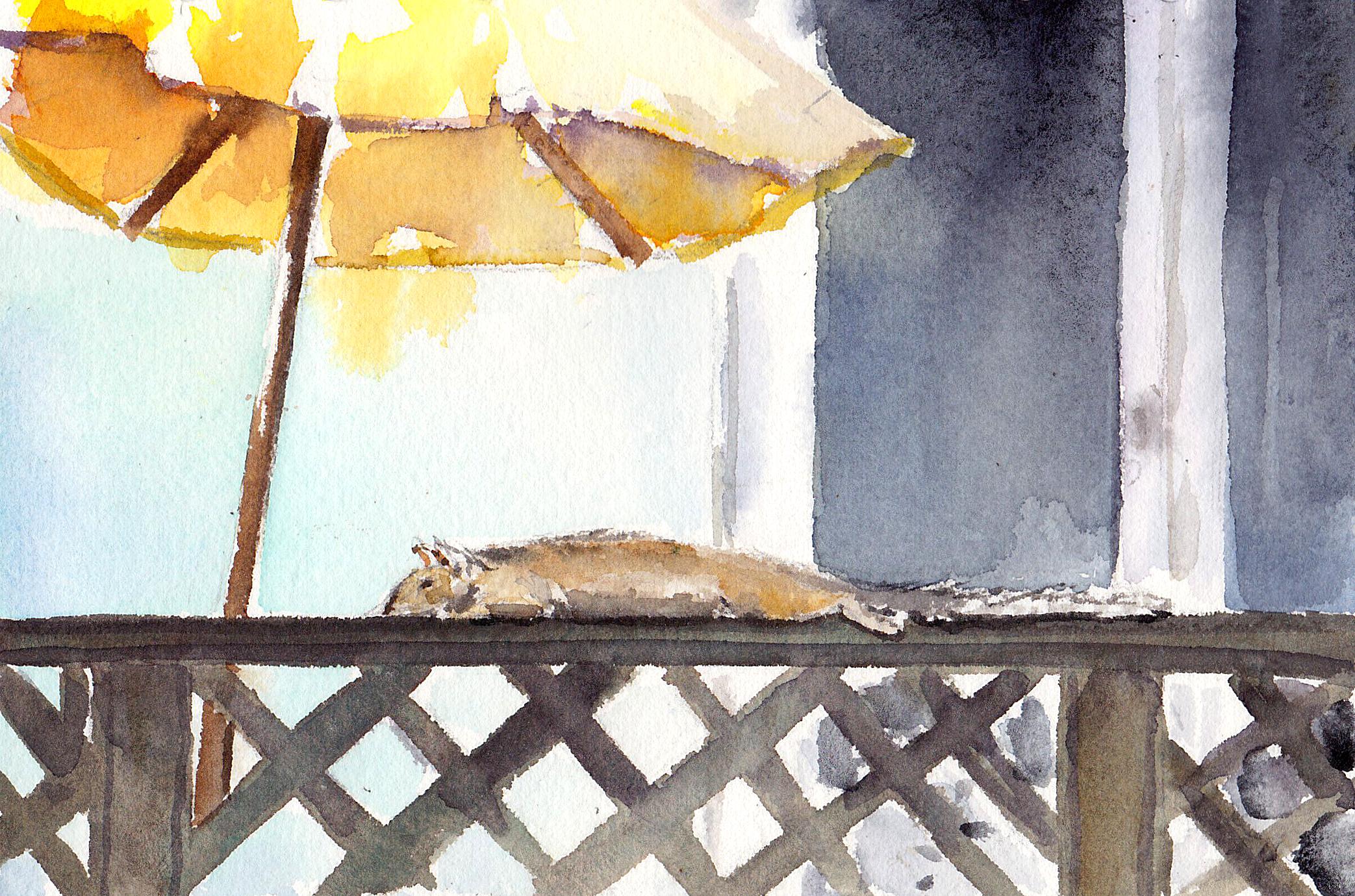 Napping Squirrel