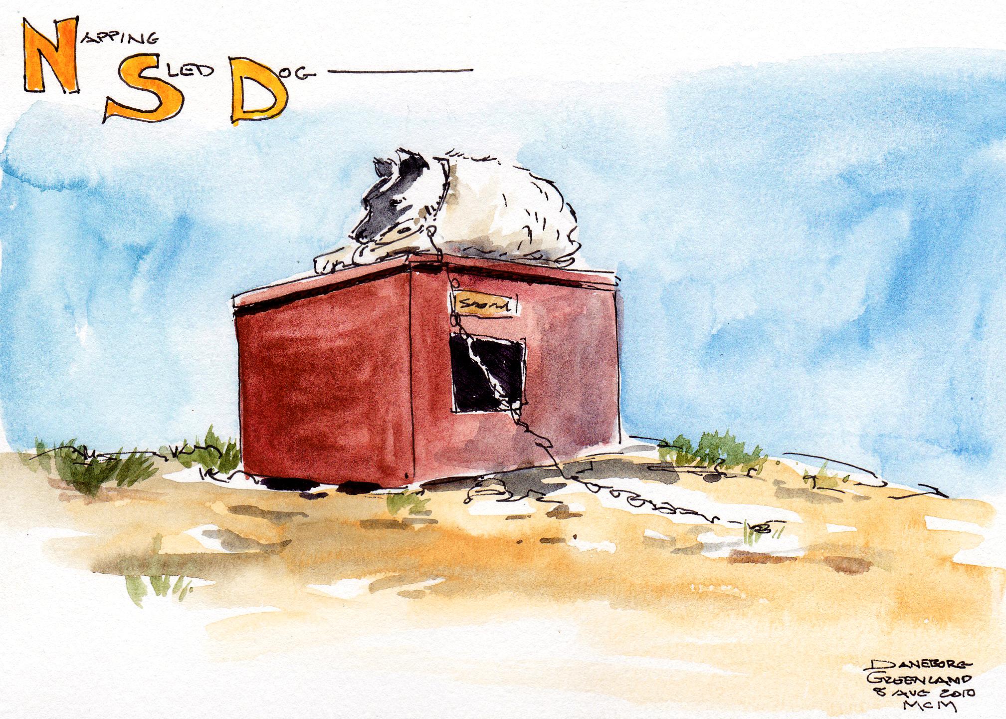 Napping Sled Dog