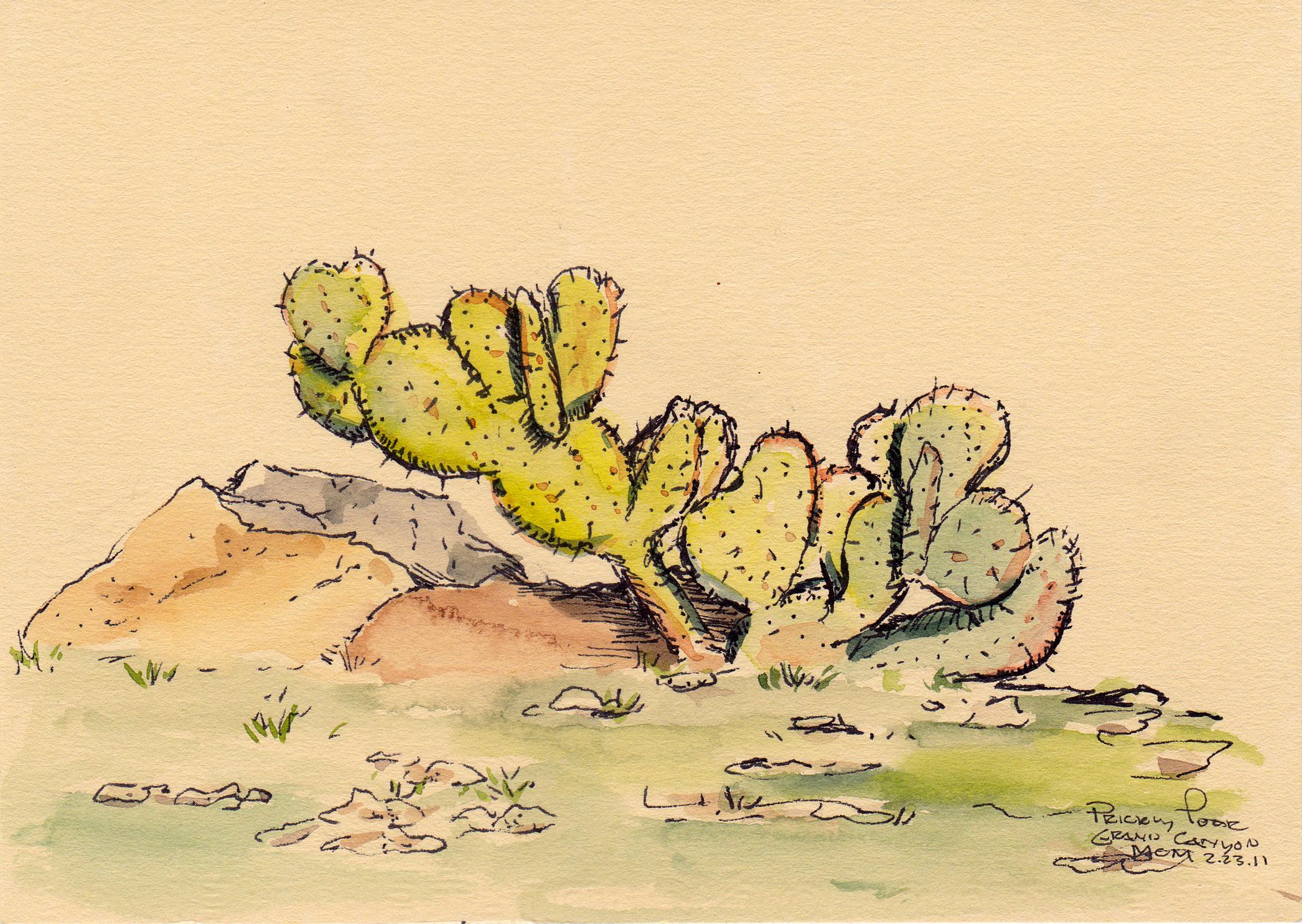 Prickly Pear