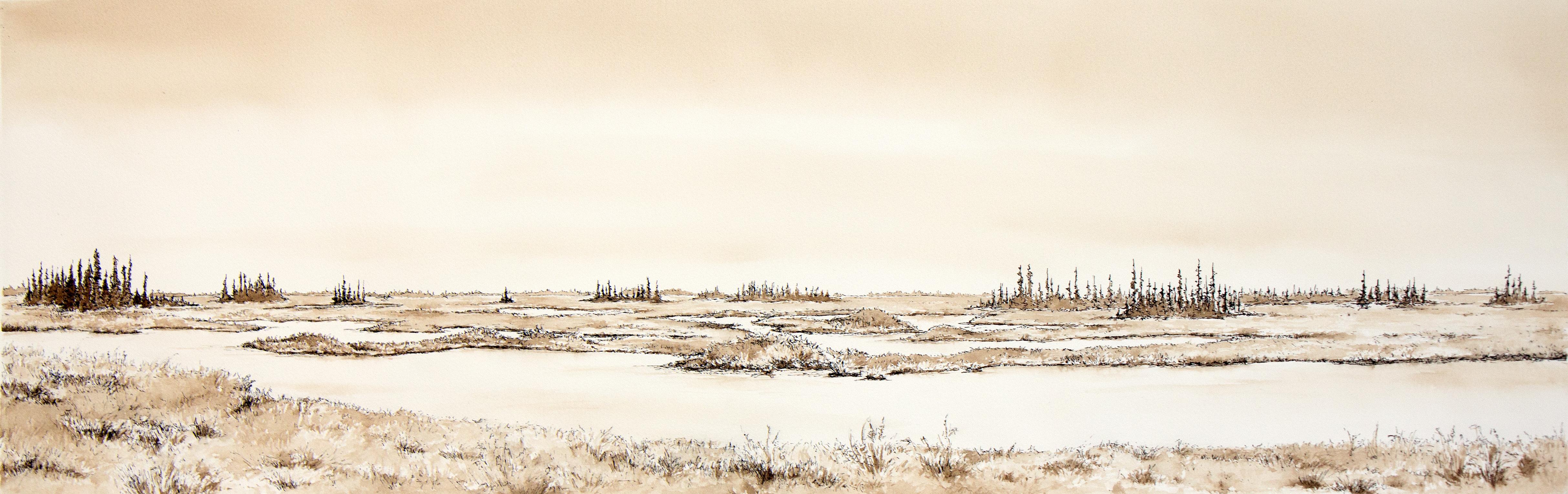 Beluga Peat Bog