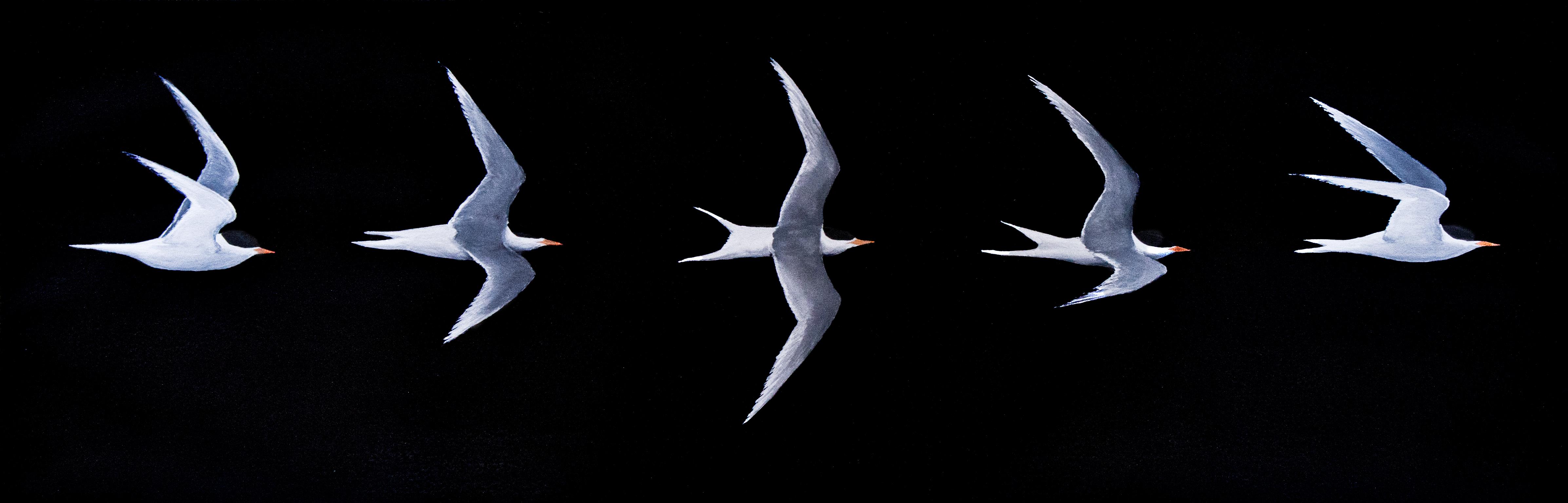 Glide