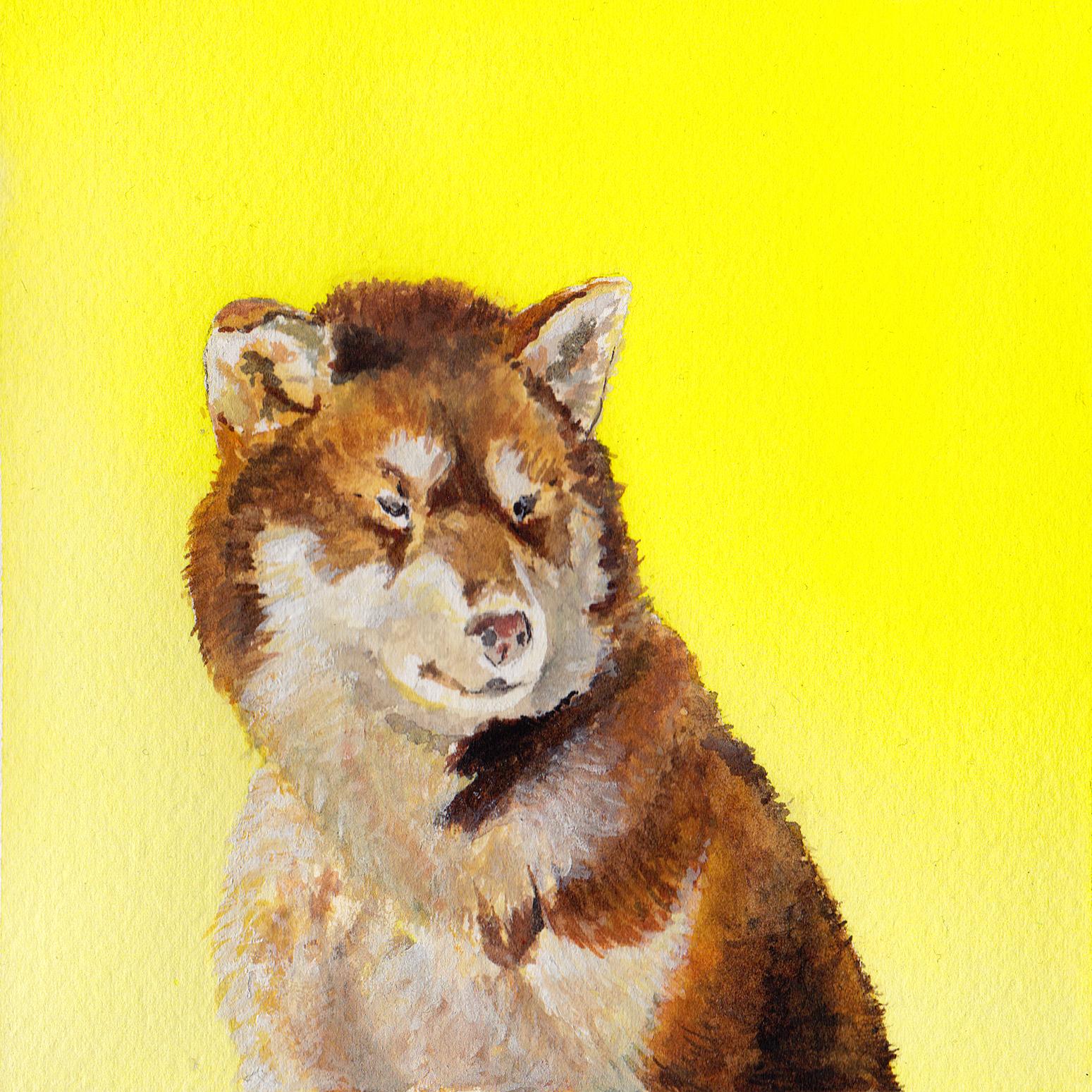 Yellow Dog