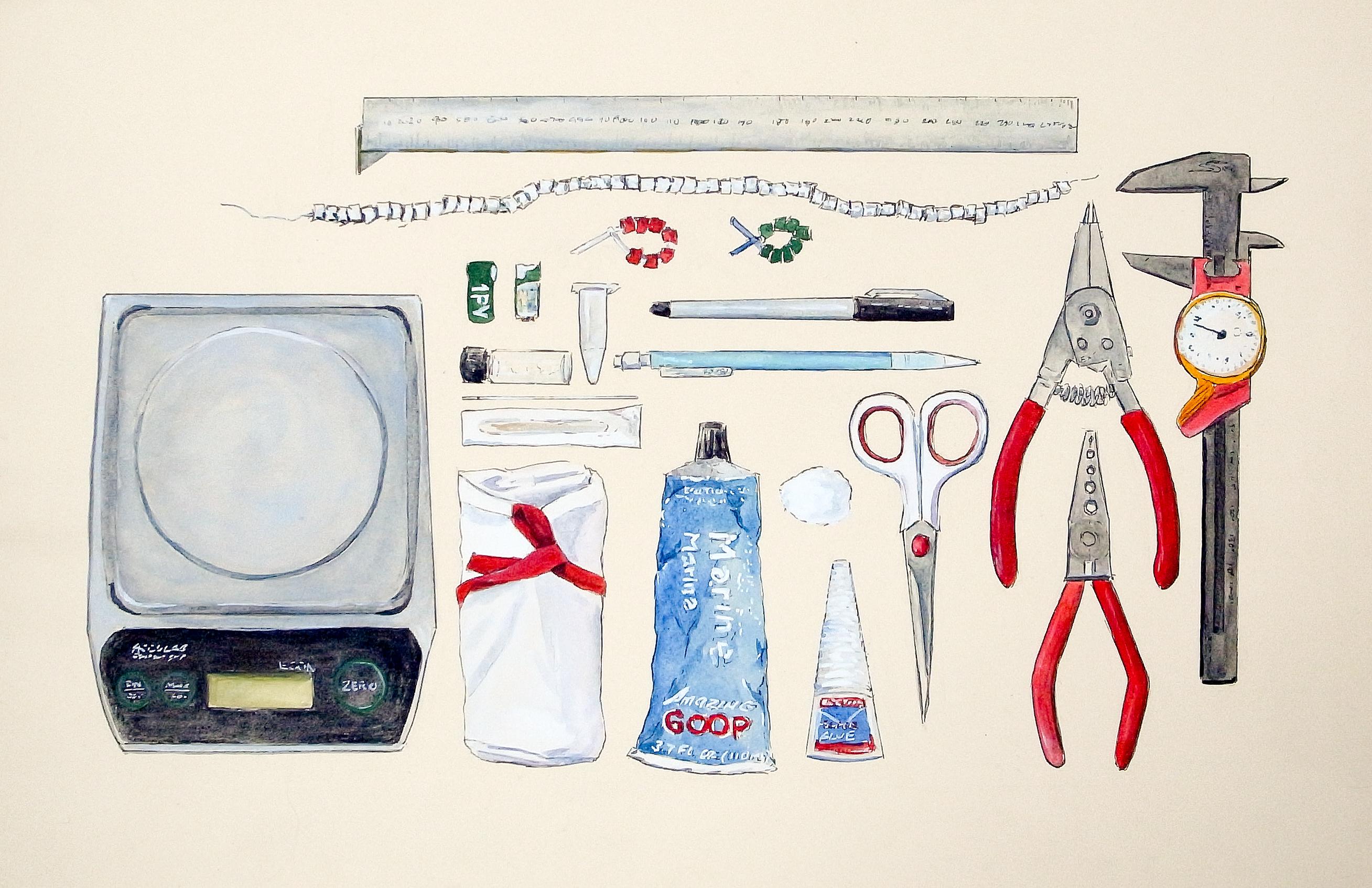 Ornithologist Toolkit