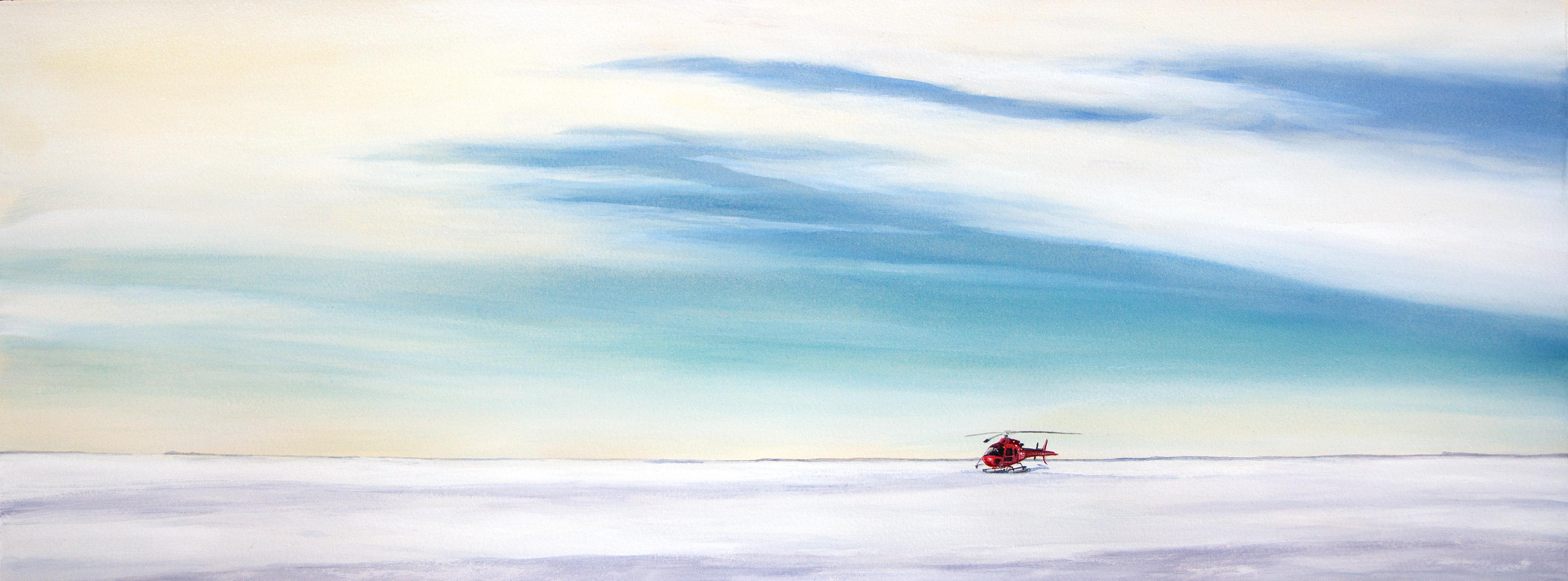 Landed on Ice