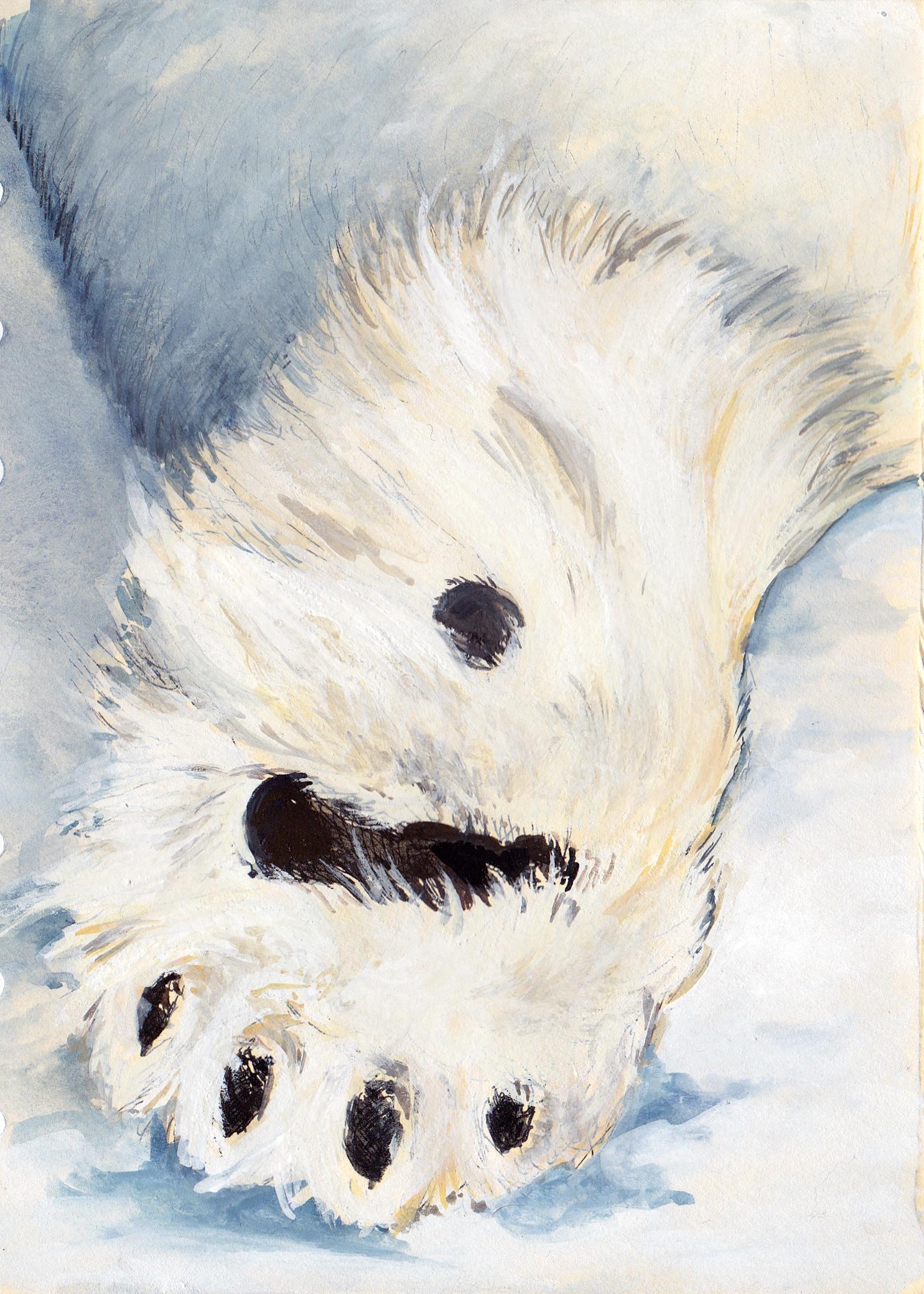 Bear Paw