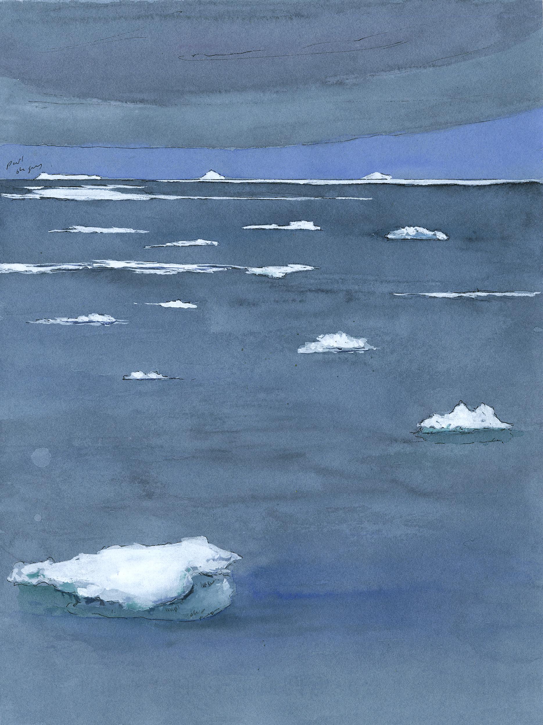 Evening Ice