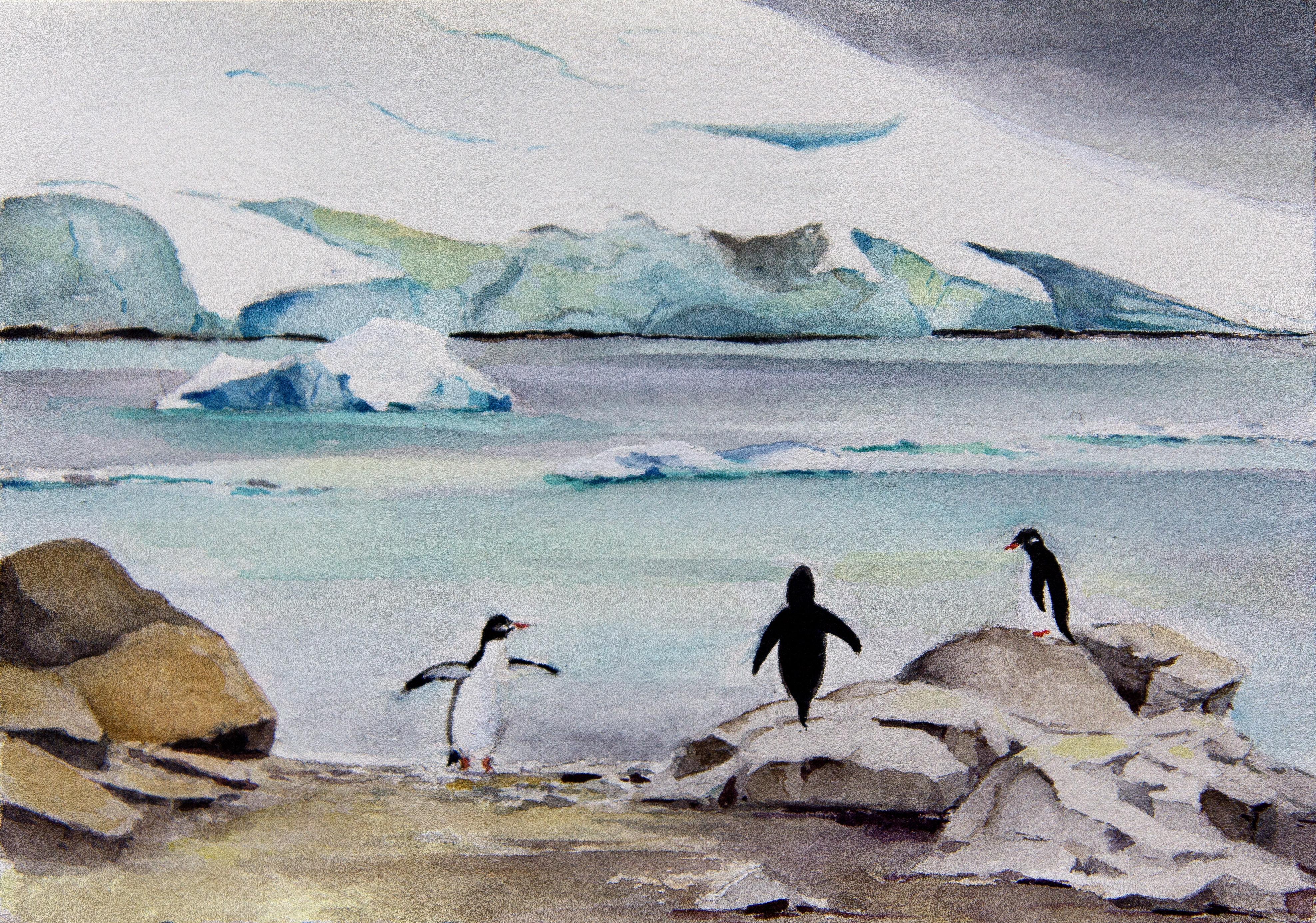 Paradise Penguins II