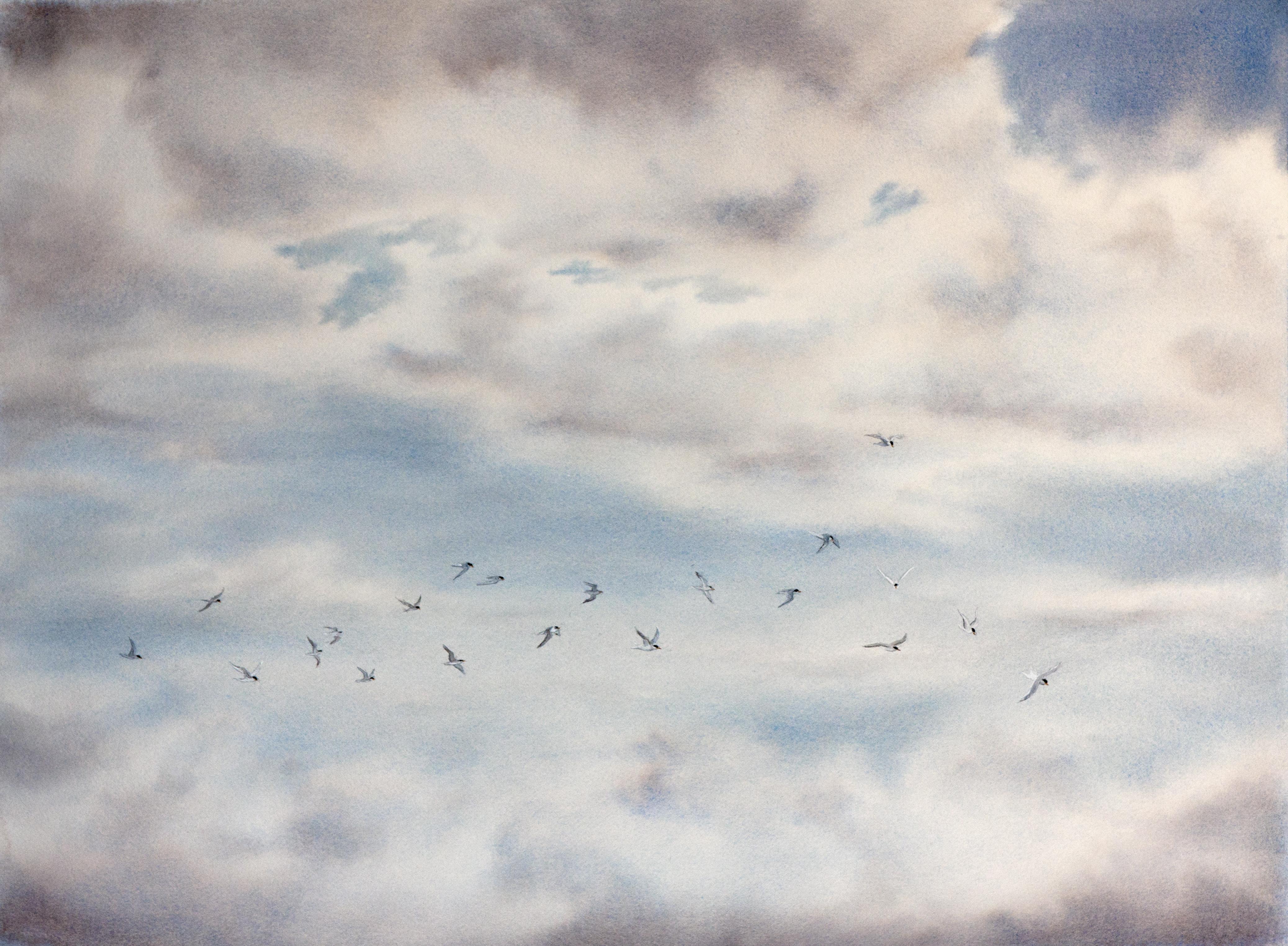 Tern Migration