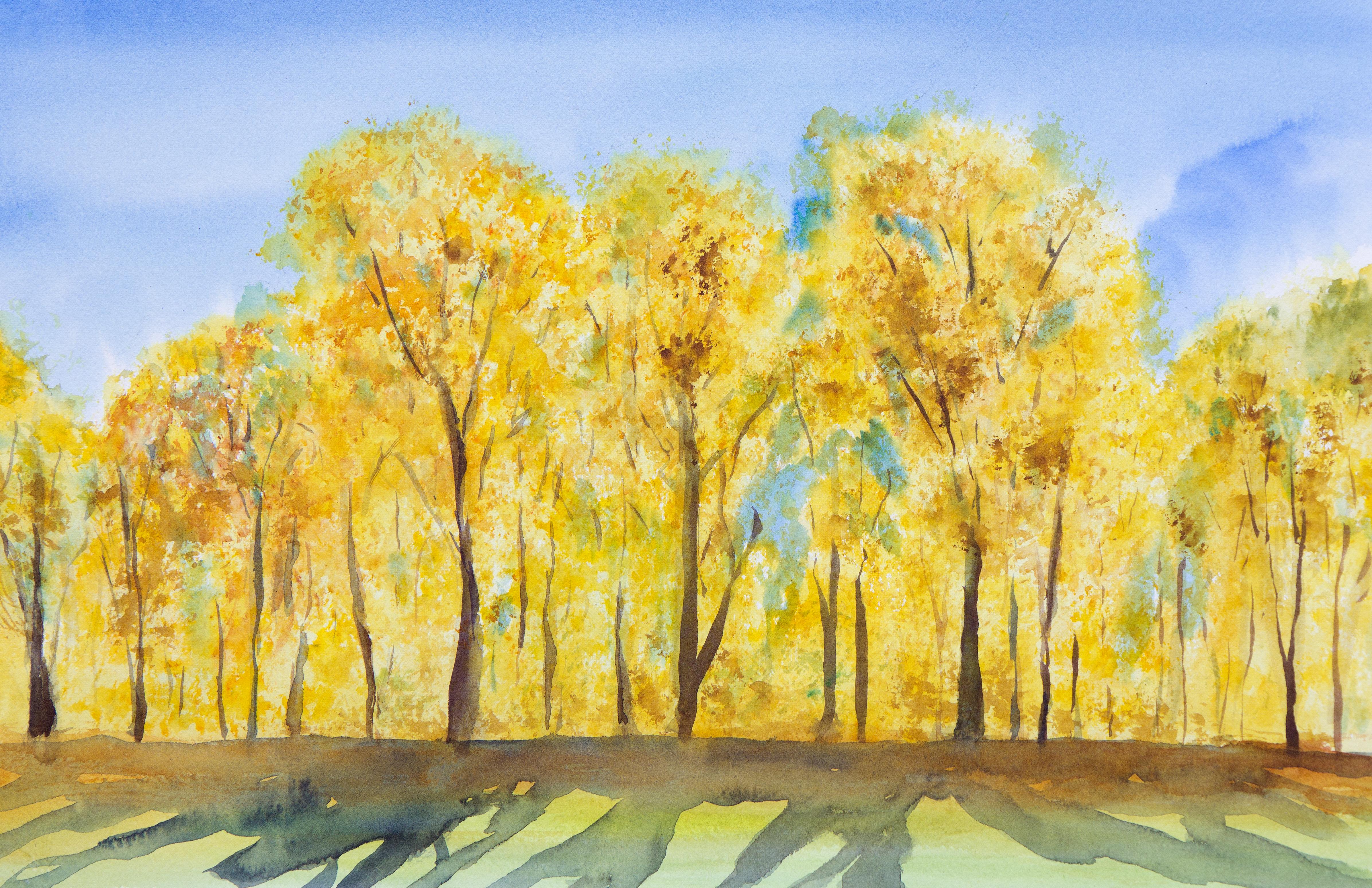 Autumn Evening