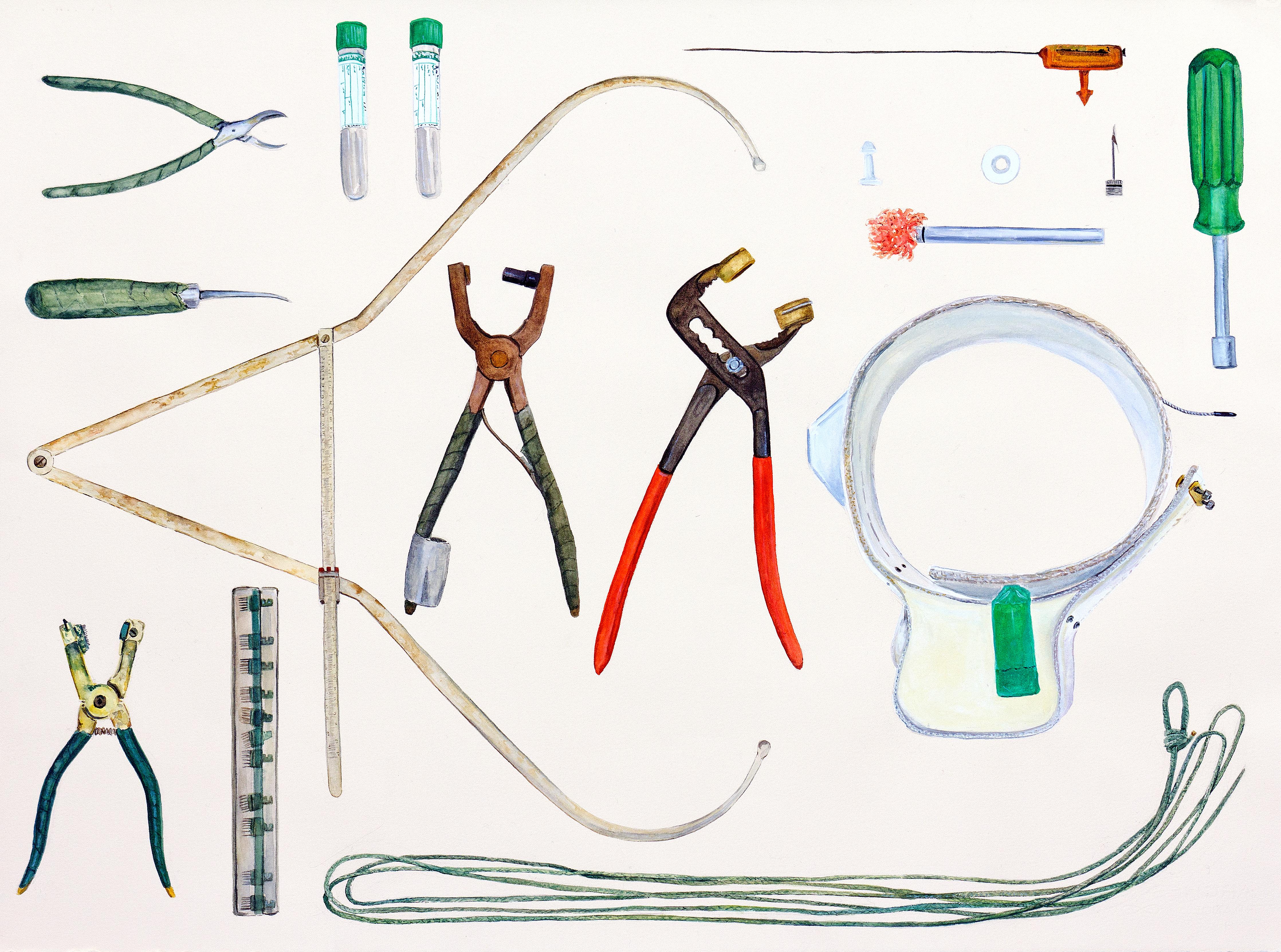 Polar Bear Research Tools