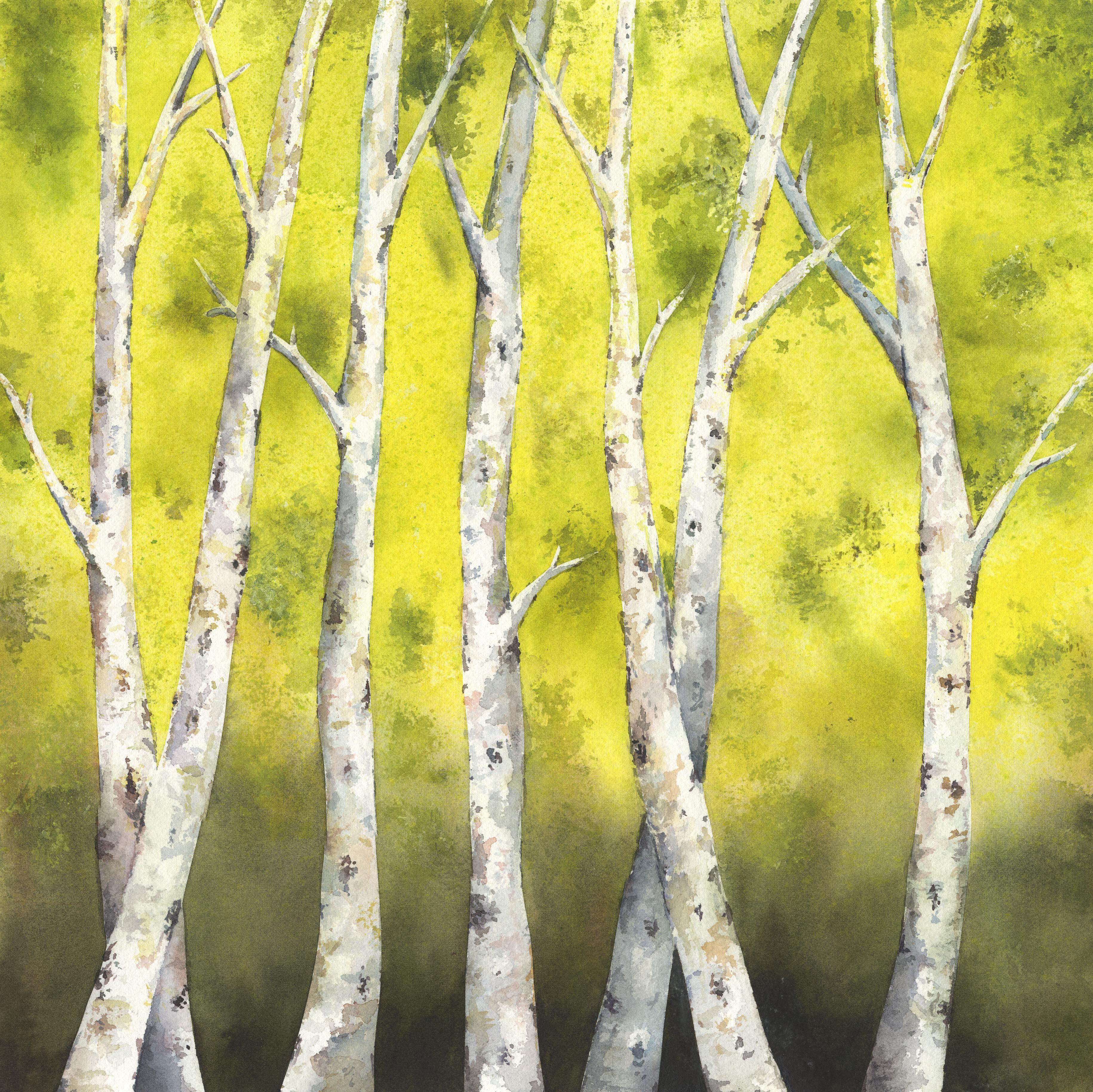 Spring Aspen
