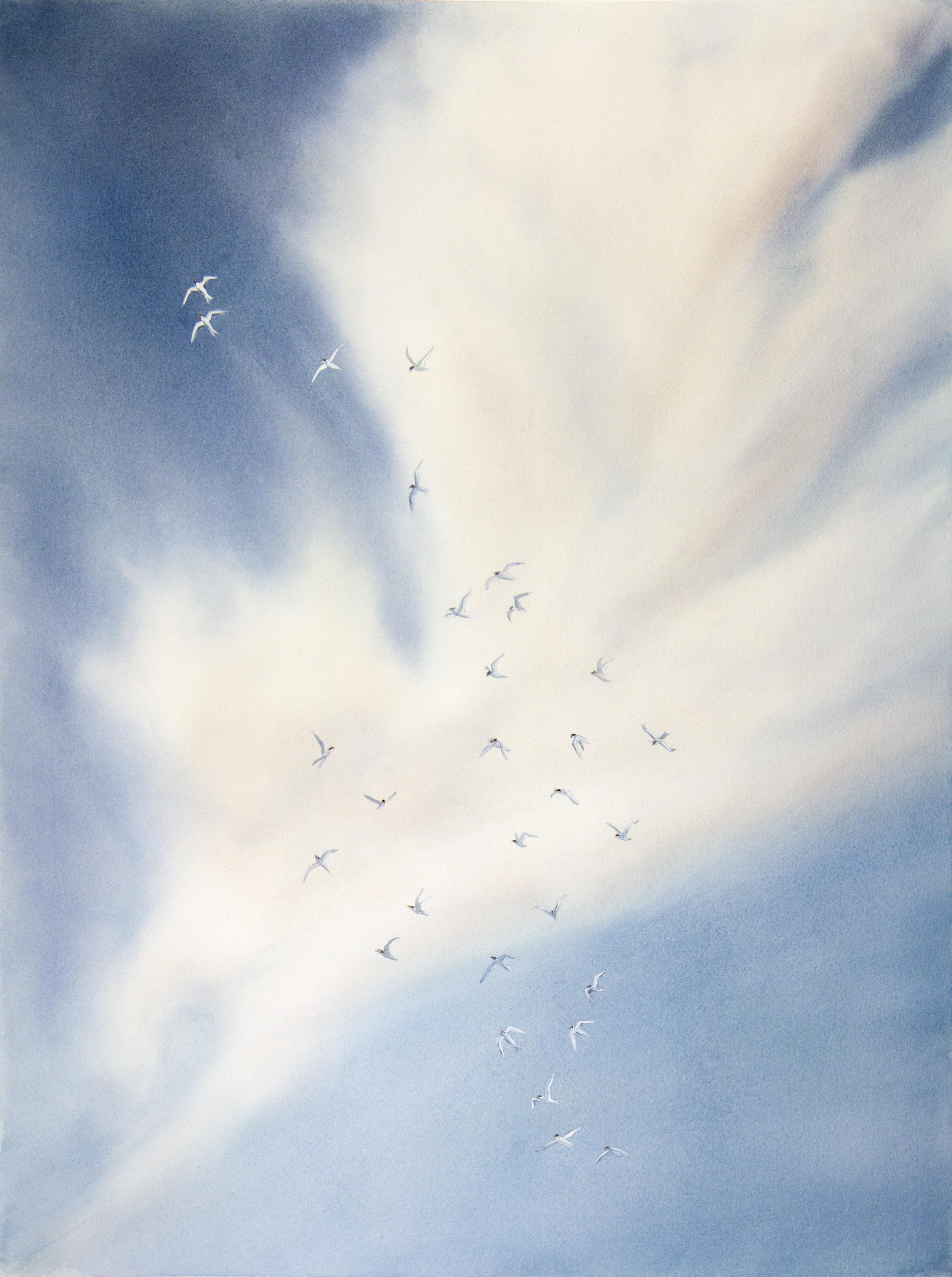 Tern Migration II