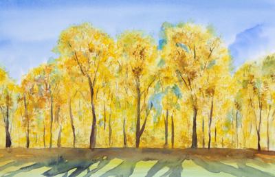 Autumn Evening