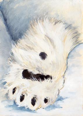 Bear Paw