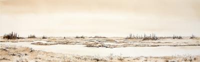 Beluga Peat Bog