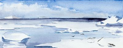 Birds on Ice