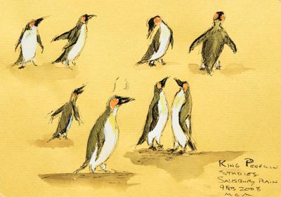 King Penguins