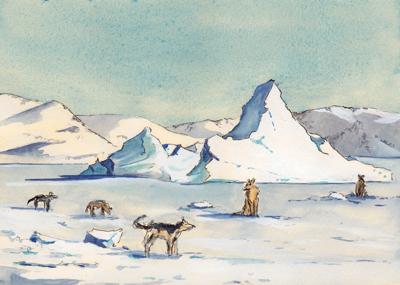 Kullorsuaq Sled Dogs