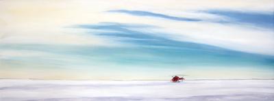Landed on Ice