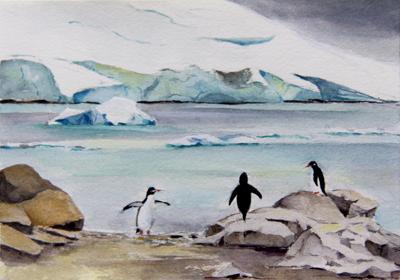 Paradise Penguins II