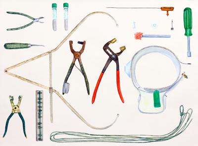 Polar Bear Research Tools