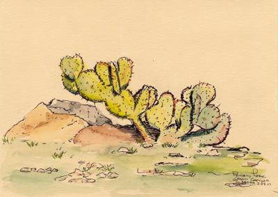 Prickly Pear