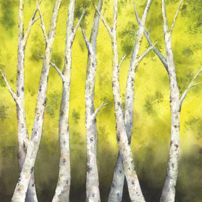 Spring Aspen