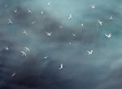 Storm Light