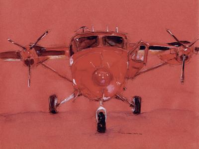 Twin Otter