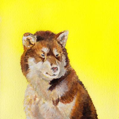 Yellow Dog