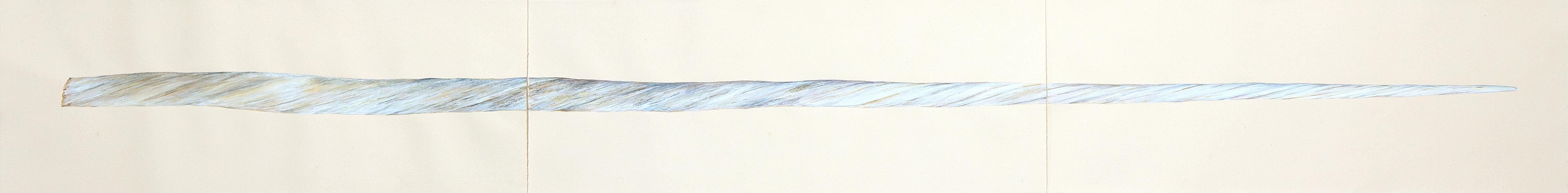 Narwhal Tusk Triptych