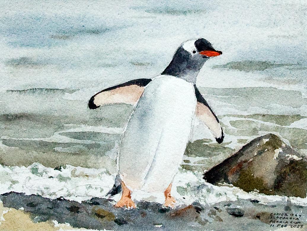 Gentoo