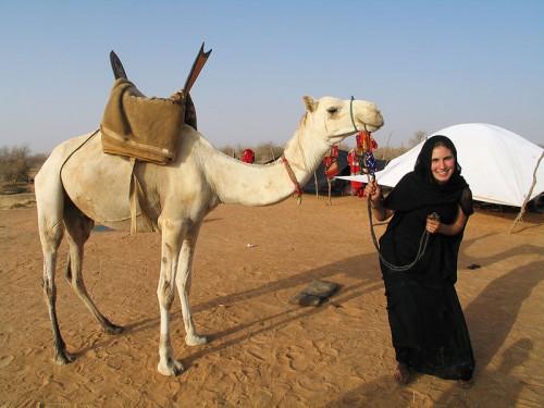 Camels in the desert... risky (but such fun) transportation