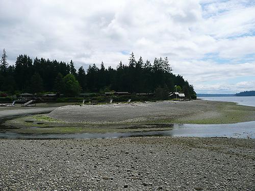 Low tide, June 4, noon-ish Fletcher Bay, Bainbridge Island