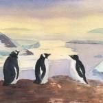 090519_hicksonpenguins