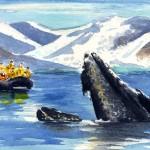 090519_hicksonwhales