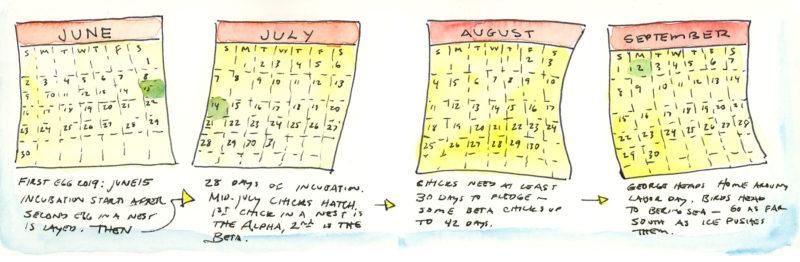An approximate calendar for Cooper Island research