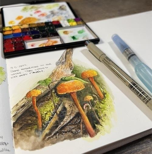 Fall Mushrooms by Mike Hendley
