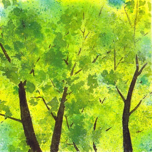 5" x 5" sketch number eleven: Ready for Spring
