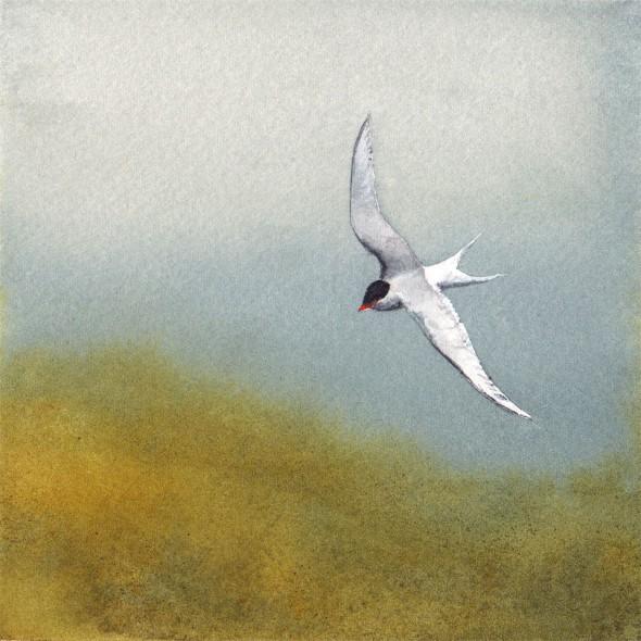 5" x 5" number seventeen: Overland, Sold