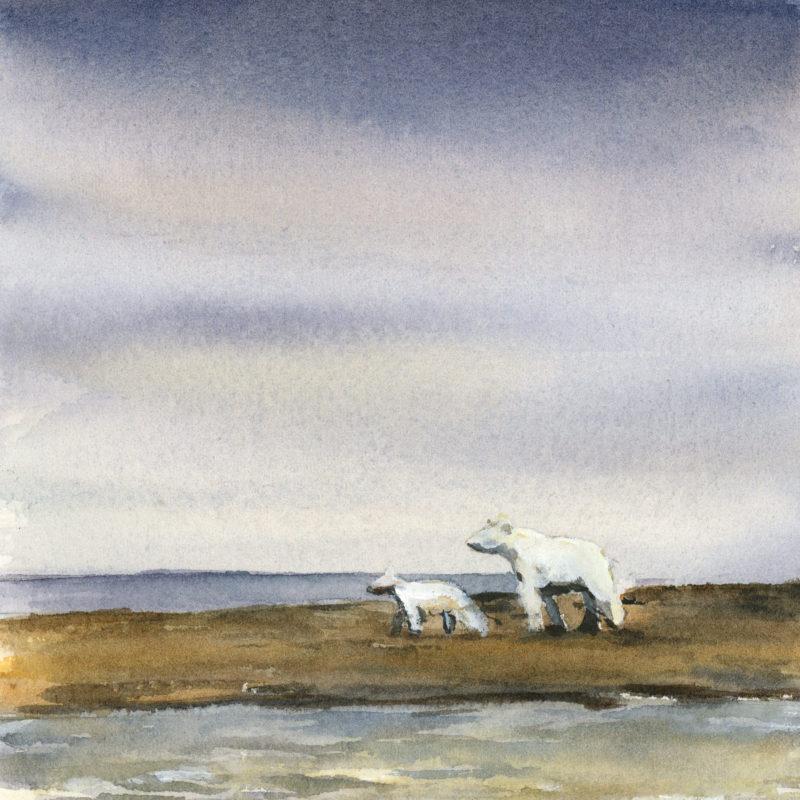 Mother and Cub, 5″ x 5″ watercolor study
