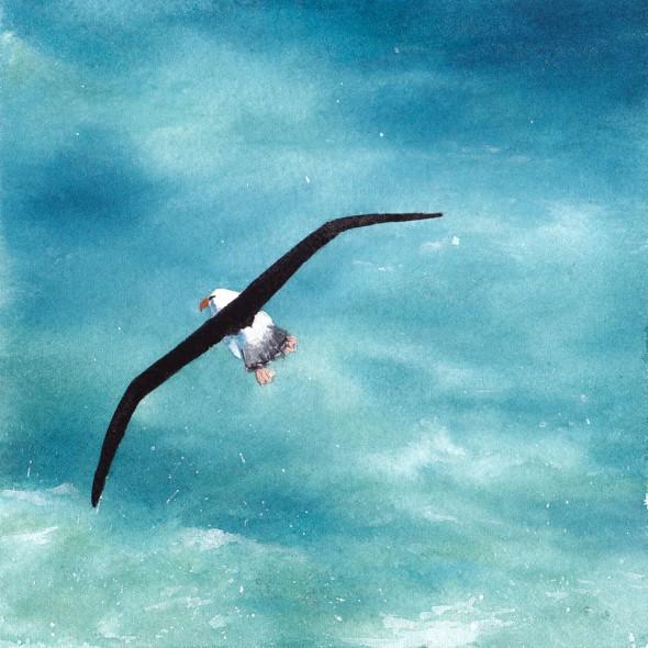 5" x 5" number twenty-one: Albatross Flight