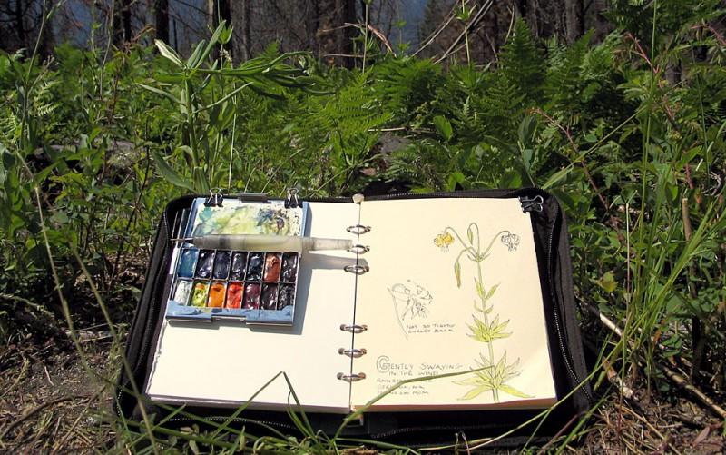 Sketching Tiger Lilies, Stehekin, WA