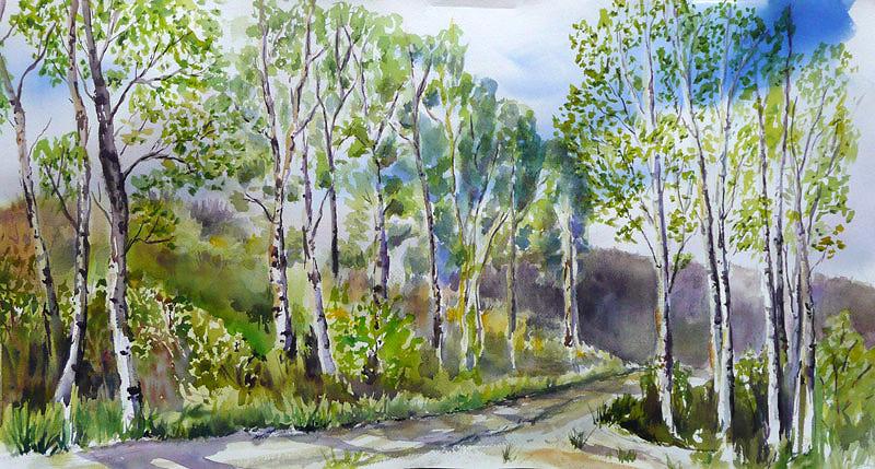 Aspen Sketch, 29&Prime; x 15&Prime;