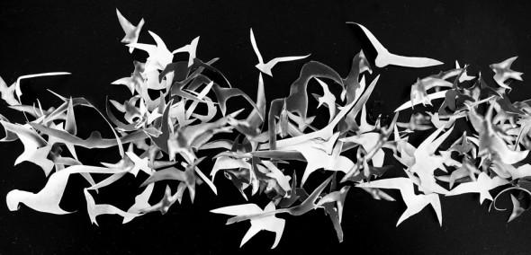 Cut out bird shapes