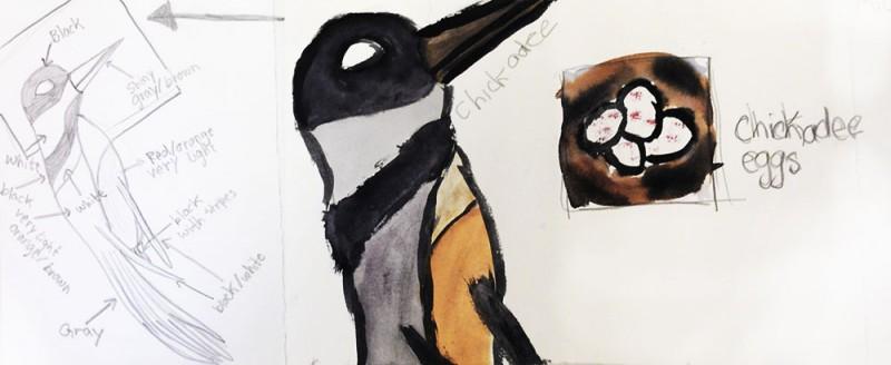 images::ucds-school-visit--chickadee.jpg