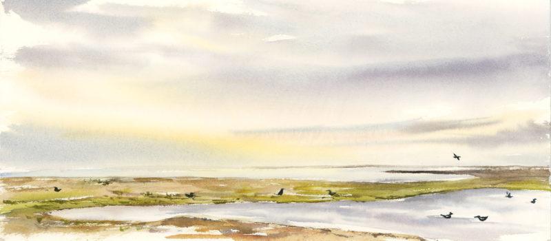 Cooper Island Pond, 6.5&Prime; x 15&Prime; field watercolor