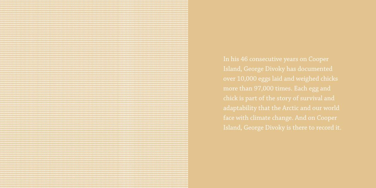 Over 10,000 Eggs in 46 Years