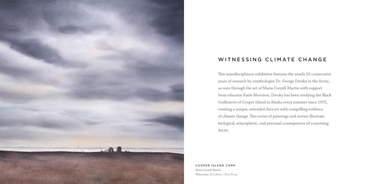 Witnessing Climate Change